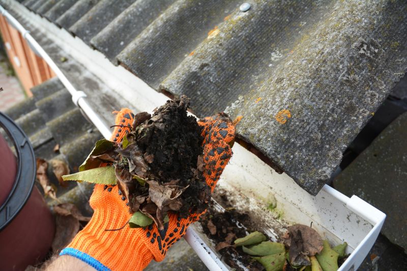 Commercial Gutter Cleaning in Denver County, CO