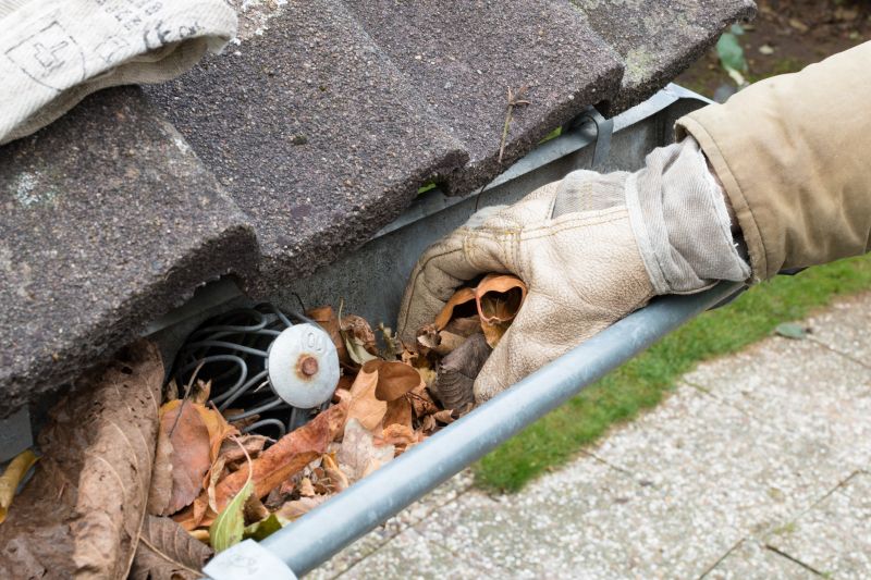 Gutter Leaves Removal in Pittsburgh, PA