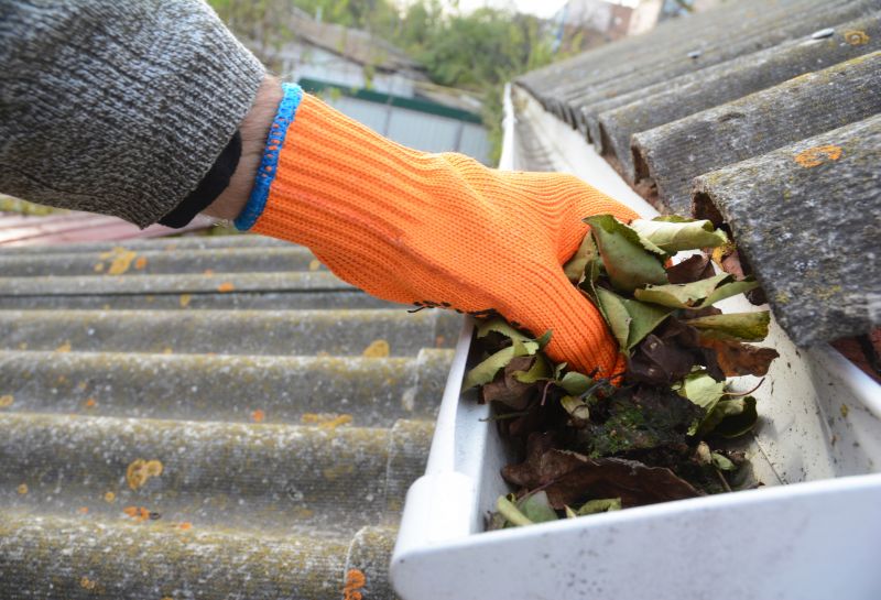 Gutter Pine Needle Removal in Monmouth County, NJ
