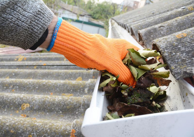 Gutter Cleaning in Baltimore, MD
